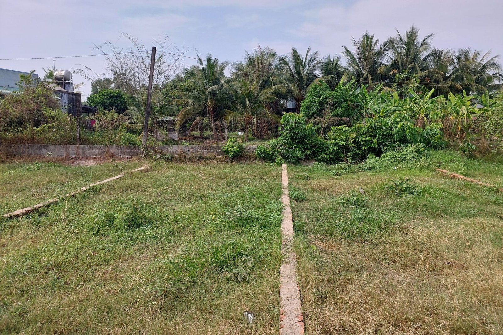 Lô đất thổ cư 162m2, ngang 5m dài 33m, mặt tiền đường đá xanh 3.5m tại Mỹ Hạnh Bắc, Đức Hòa, Long An.