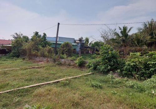 Ảnh chụp lô đất nền số 430 tại Mỹ Hạnh Bắc cũ, ranh giới rõ ràng, tượng trưng cho xu hướng mua đất nền thời đỉnh giá tại các tỉnh phía Nam.