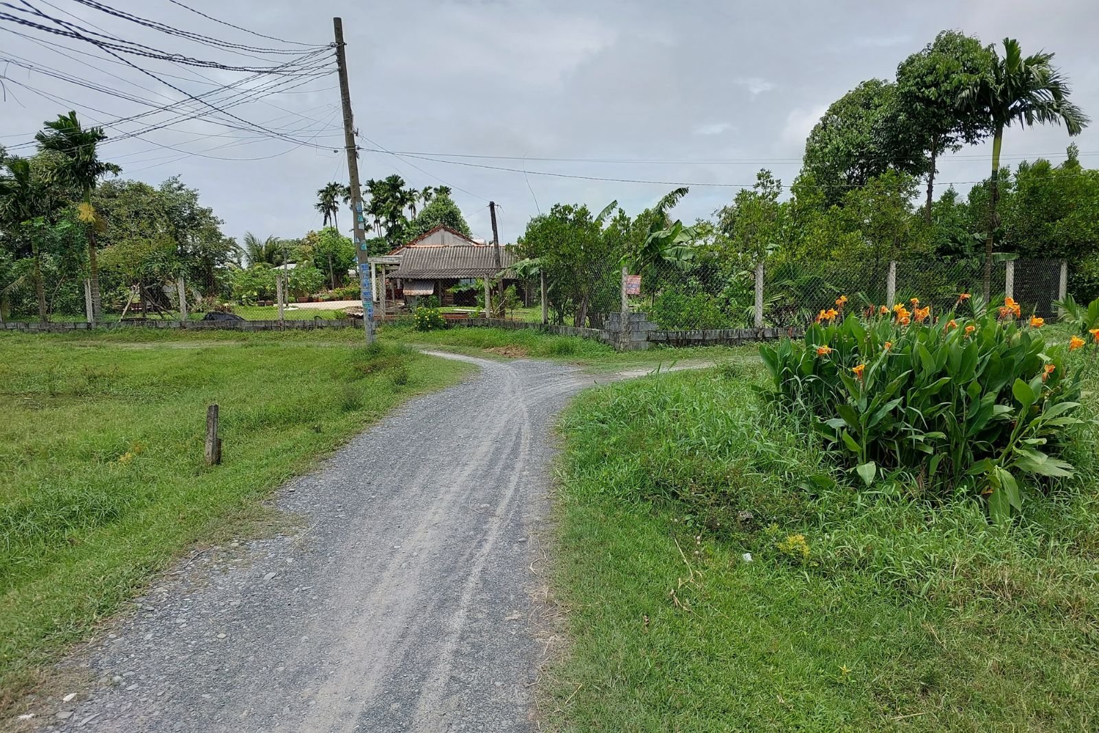 Hẻm dẫn vào lô đất nền số 430 từ đường Tỉnh lộ 9, xã Mỹ Hạnh Bắc